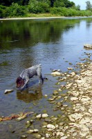 /album/fotogalerie-bettyna/prvni-den-u-vody-003-jpg/